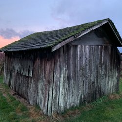 Matsqui Blue Farms