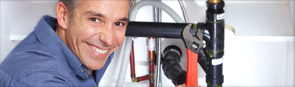 Davis Plumbing & Heating Logo