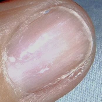 Lee Nails - Nail Salons Near Me - Orlando, Florida