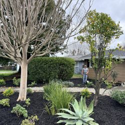 J & R Landscaping and Construction