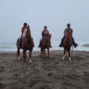 RICOCHET RIDGE RANCH - 154 Photos & 165 Reviews - 24201 N Hwy 1, Fort ...