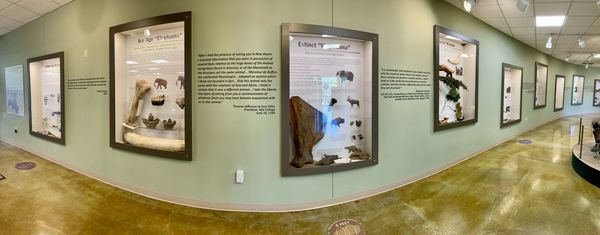 Big Bone Lick State Historic Site by null