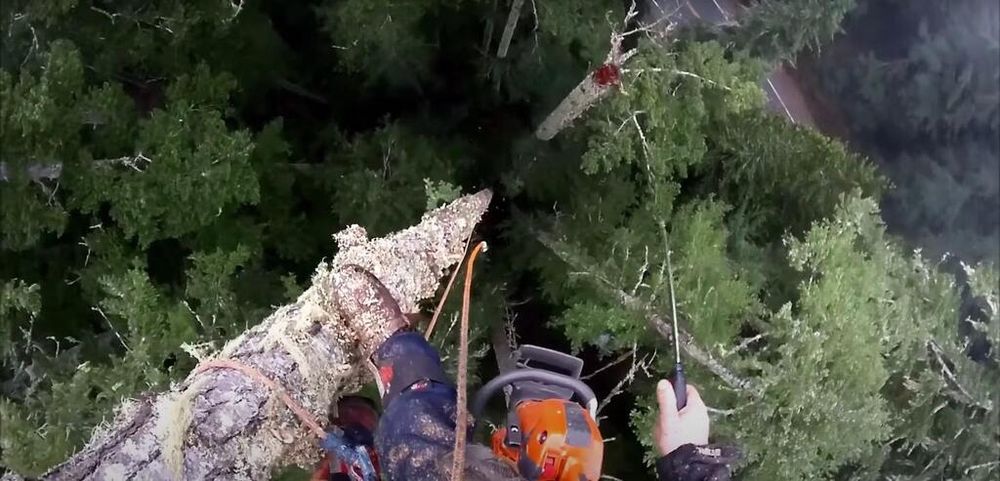 All Seasons Outdoor Services - tree service in York Haven, PA