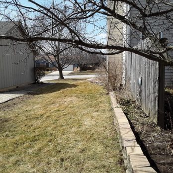 MowTime Lawn Care - a tree in the yard - Snow Removal Near Me MowTime Lawn Care - a tree in the yard - Snow Removal Near Me