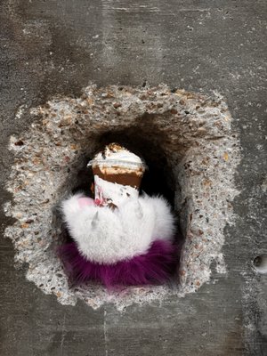 A Hole Coffee by null