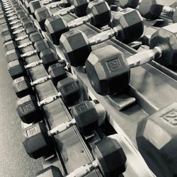 Signature Training Studios