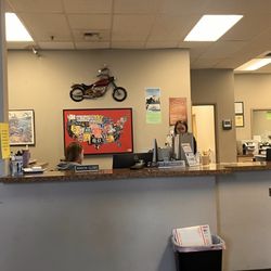 South Hill Auto Licensing