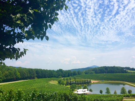 Frogtown Cellars by null