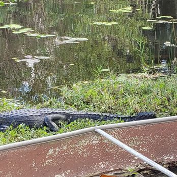 Everglades Safari Park - Amusement Parks Near Me - Miami, Florida Everglades Safari Park - Amusement Parks Near Me - Miami, Florida