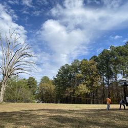 Lett's Tree Removal Service - 200 year old standing dead oak