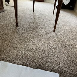 The carpet after the cleaning service. This carpet is over 10 years old and it has gone through so much abuse! The carpet after the cleaning service. This carpet is over 10 years old and it has gone through so much abuse!