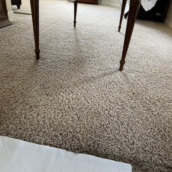Stain Master Carpet Cleaning - The carpet after the cleaning service. This carpet is over 10 years old and it has gone through so much abuse! - Carpet Cleaning Near Me Stain Master Carpet Cleaning - The carpet after the cleaning service. This carpet is over 10 years old and it has gone through so much abuse! - Carpet Cleaning Near Me