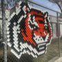 Photo of Magnolia Science Academy 6