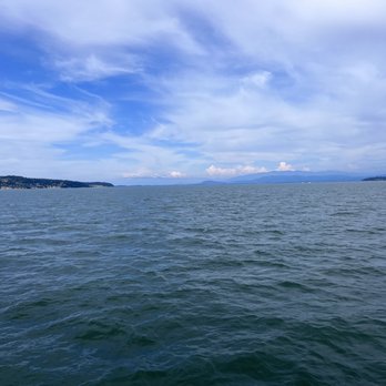 Puget Sound Express - Whale Watching Tours Near Me - Edmonds, Washington Puget Sound Express - Whale Watching Tours Near Me - Edmonds, Washington