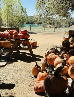 Julian Farm and Orchard by null