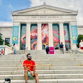 Shedd Aquarium - Aquariums Near Me - Chicago, Illinois Shedd Aquarium - Aquariums Near Me - Chicago, Illinois