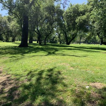 Ancil Hoffman Park - Loving all the greenery! - Parks Near Me - Carmichael, California