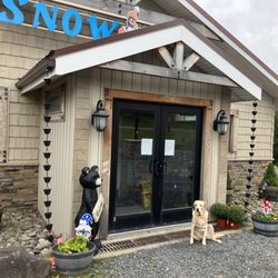 Snow Bird Ski Shop - Our Shop with Brooklyn!