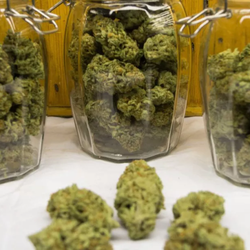 Fire & Flower Cannabis