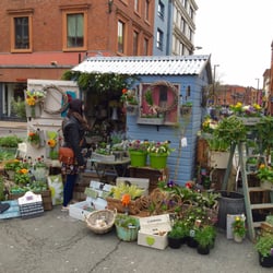 Northern Quarter Market