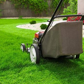 Monkey Guy Tree Service - a lawn mower - Tree Services Near Me Monkey Guy Tree Service - a lawn mower - Tree Services Near Me