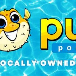 Puddle Pool Services