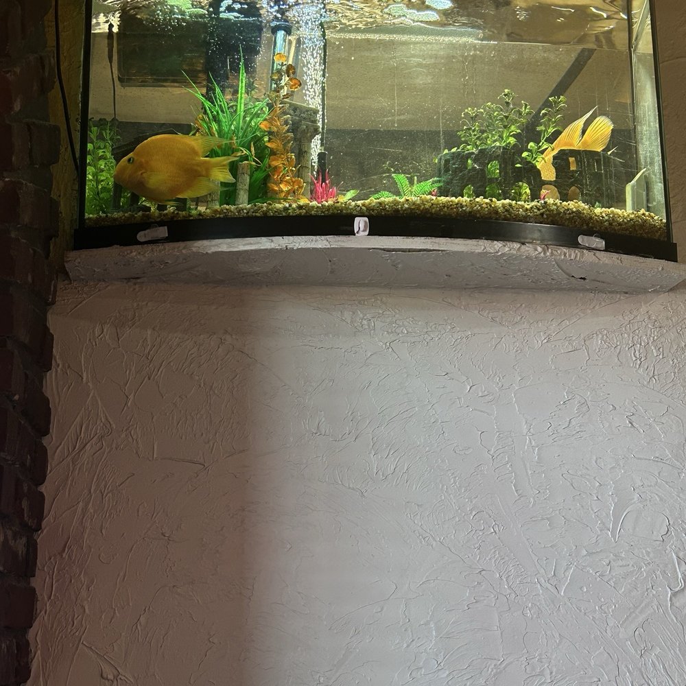 Conforti's Pizzeria - Fish tank in dining area - Italian Near Me - Irwin, Pennsylvania Conforti's Pizzeria - Fish tank in dining area - Italian Near Me - Irwin, Pennsylvania