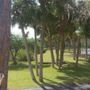 Eagle Point Homeowners