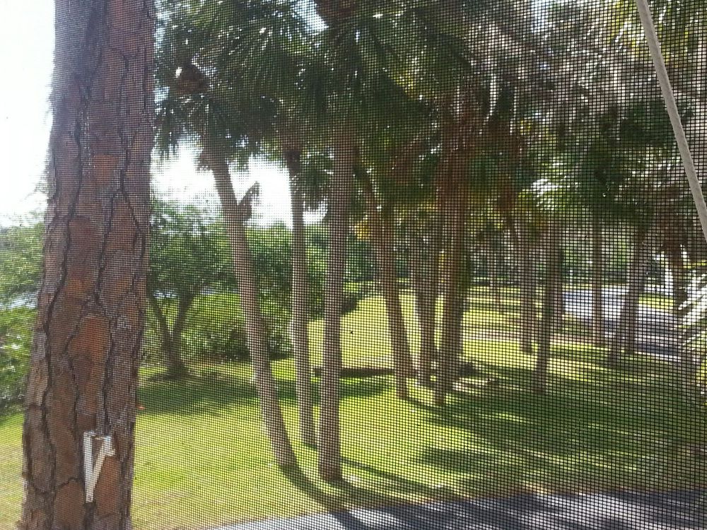 EAGLE POINT HOMEOWNERS Updated September 2024 10303 Burnt Store Rd