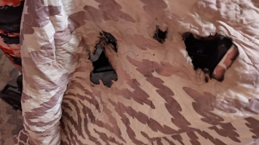 BIDDEFORD BLANKETS Updated October 2024 10 Photos & 133 Reviews