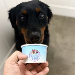 Barking Hound Village - Sandy Springs