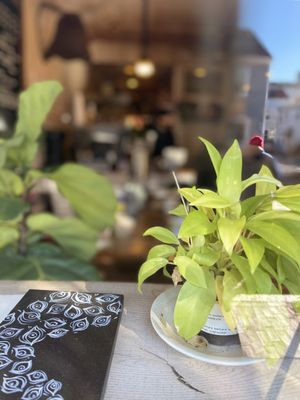 Curio Coffee by null