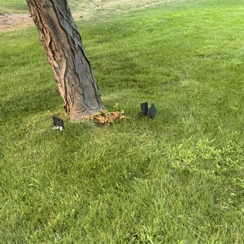 The Grounds Guys of Eagle, Id - Where are the mow lines? They had just came that day. - Landscaping Near Me The Grounds Guys of Eagle, Id - Where are the mow lines? They had just came that day. - Landscaping Near Me