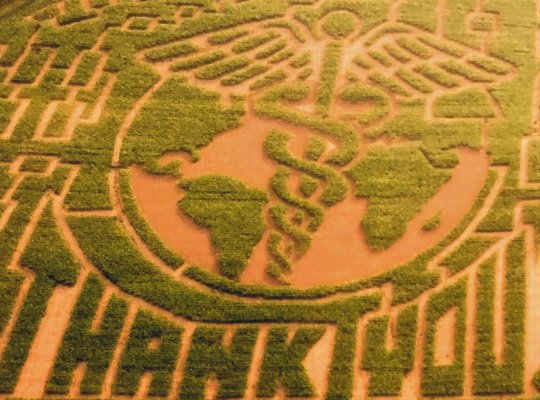 Great Vermont Corn Maze by null