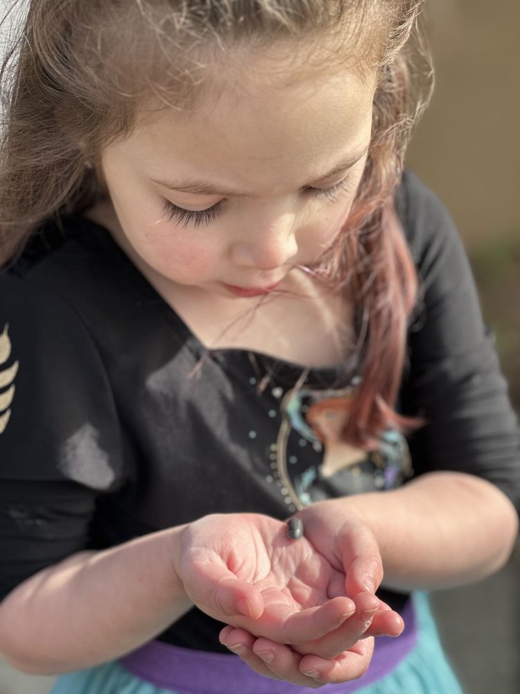 A Place of My Own - childcare center in Napa, CA