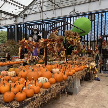 lowes battlefield blvd