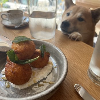 Wolf at Nordstrom NYC - Someone is v intrigued by the polenta fritters - Italian Near Me - New York, New York Wolf at Nordstrom NYC - Someone is v intrigued by the polenta fritters - Italian Near Me - New York, New York