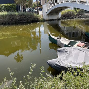 Venice Canals - Green water - Landmarks & Historical Buildings Near Me - Venice, California Venice Canals - Green water - Landmarks & Historical Buildings Near Me - Venice, California