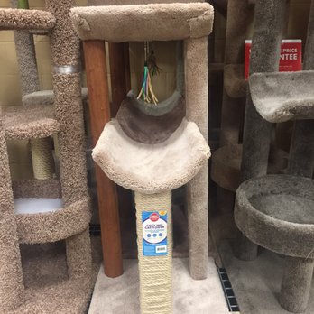 PetSmart - Cool cat towers. - Pet Training Near Me - Eugene, Oregon