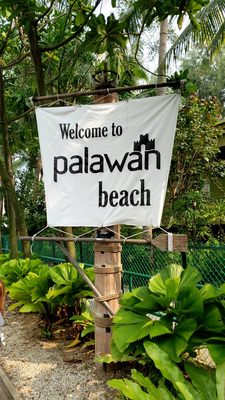 Palawan Beach by null