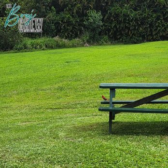 What's Shakin' - Picnic Table - Breakfast & Brunch Near Me - Pepeekeo, Hawaii What's Shakin' - Picnic Table - Breakfast & Brunch Near Me - Pepeekeo, Hawaii