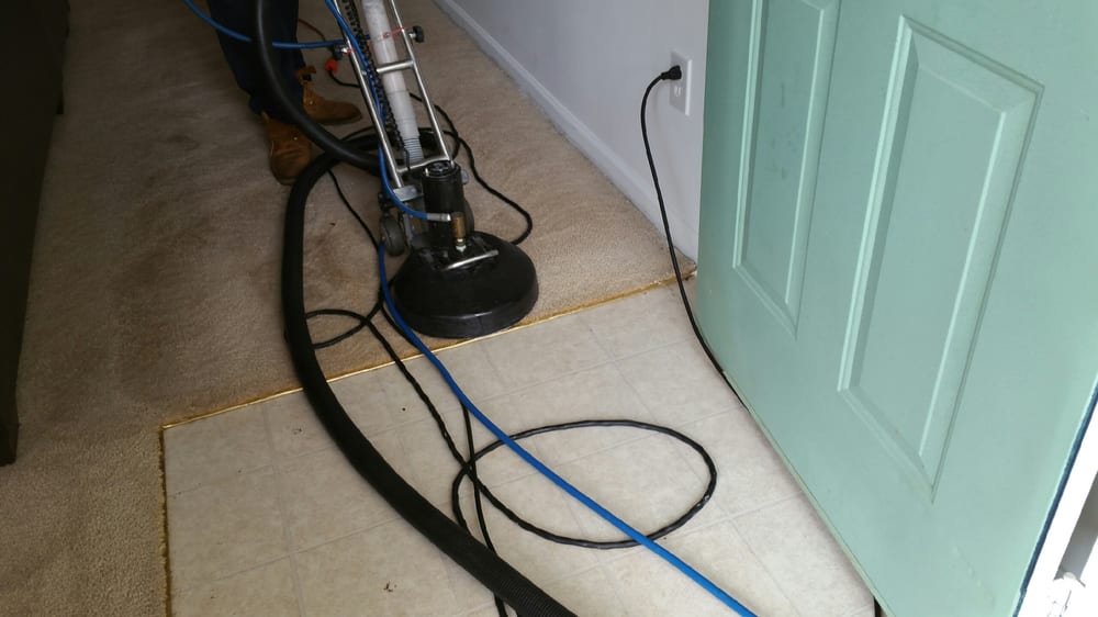 ACE CARPET CLEANING Updated August 2024 251 Meadow Hills Dr