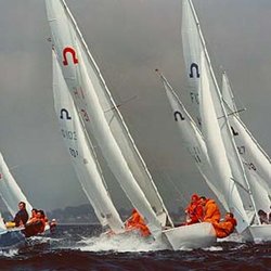 Boston Harbor Sailing Club