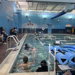 Bear Paddle Swim School - Swim class