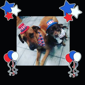 My Spoiled Pooch - Pet Groomers Near Me - Tucson, Arizona