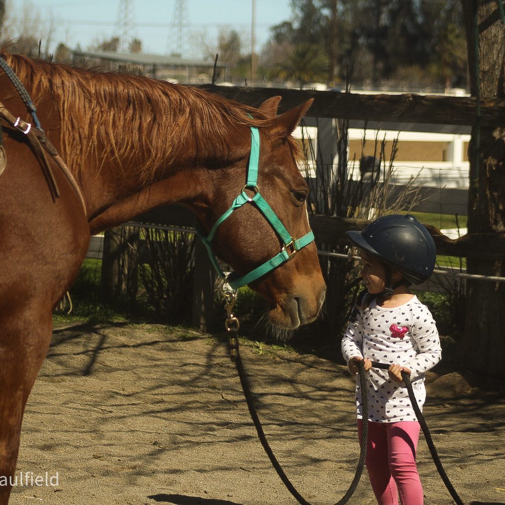 TOP 10 BEST Horse Riding Lessons for Kids in Vacaville, CA - Updated 2026 -  Yelp