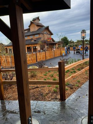Bengtson's Pumpkin Farm and Fall Fest by null
