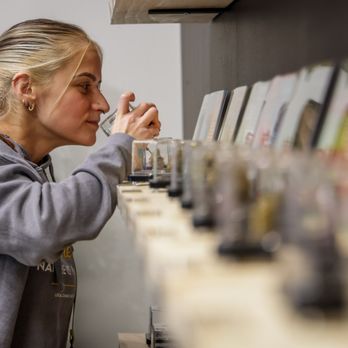 Highnorth Dispensary - Cannabis Dispensaries Near Me - Cottage Grove, Minnesota Highnorth Dispensary - Cannabis Dispensaries Near Me - Cottage Grove, Minnesota
