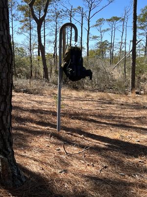 Assateague Island National Seashore by null