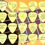 Photo of Coleman Custom Picks